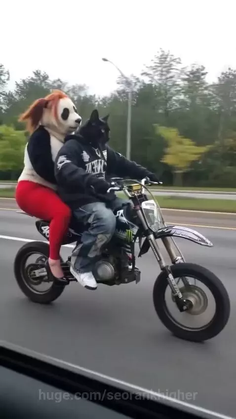 Person in cat mask and person in panda mask riding a dirt bike on a highway.
