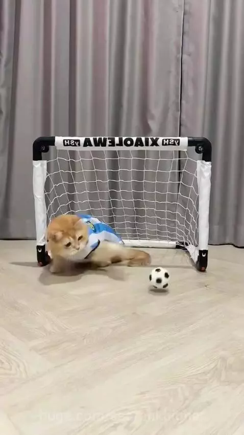 Ginger cat wearing a football jersey playing goalkeeper, blocking a miniature soccer ball with its paws.