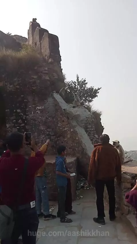 Panoramic view from Tara Garh hilltop overlooking Ajmer city, with green hills and ancient structures.