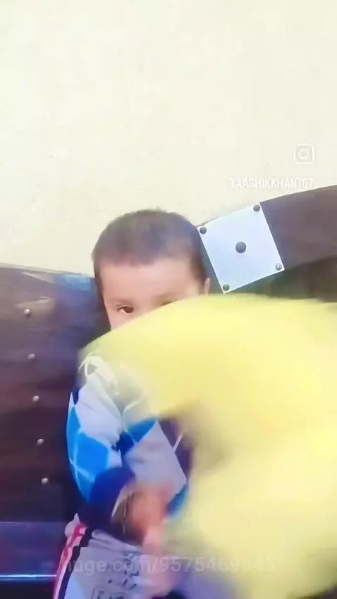 My life ♥️ by 9575469545