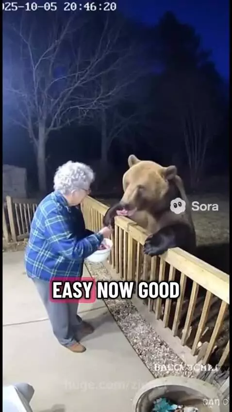 Weldon grandma 🥰🥰🥰 by zionel