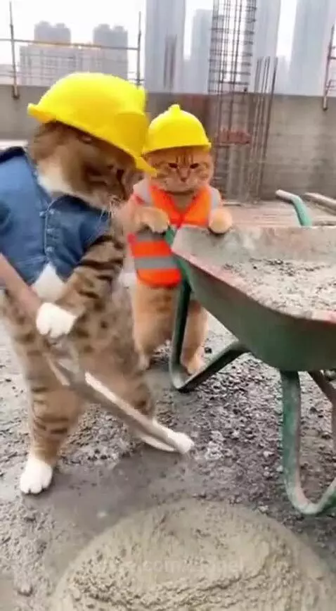 Site workers🪖👷 by zionel