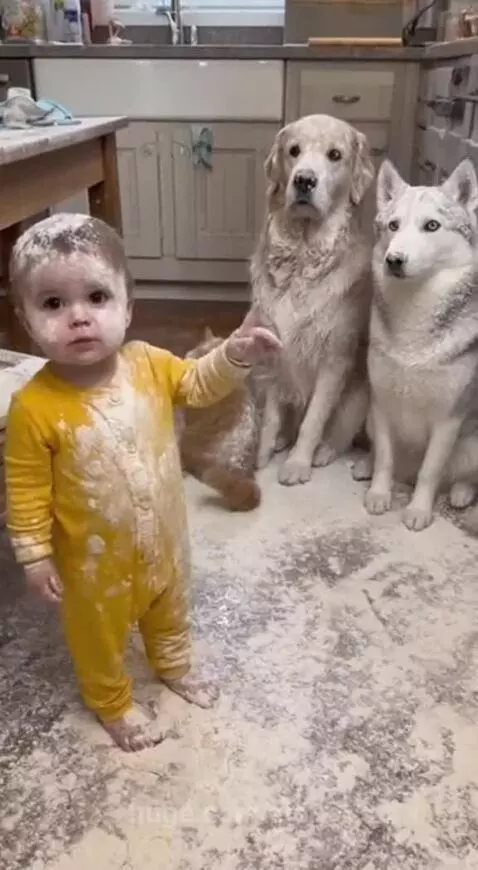 Who actually did it?😂 by zionel