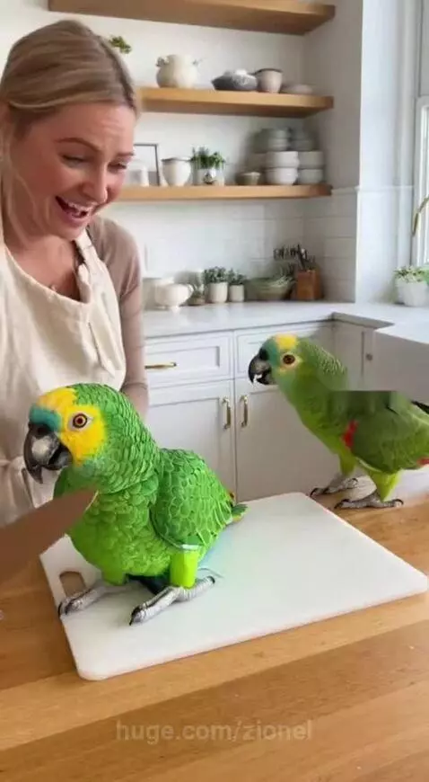 He panicked 🦜😂 by zionel