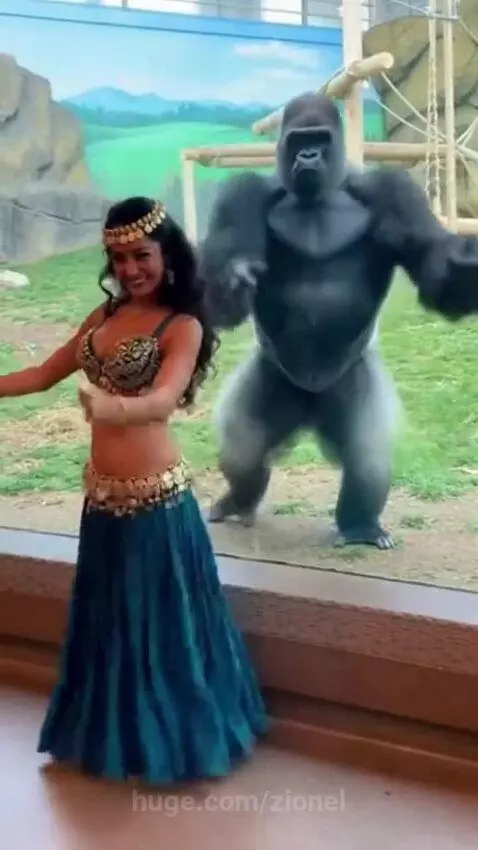 Gorilla caught the vibe😂❤️🥰 by zionel