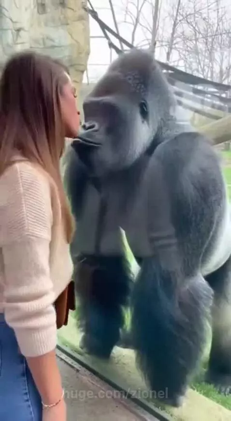 So this is love🥰 by zionel