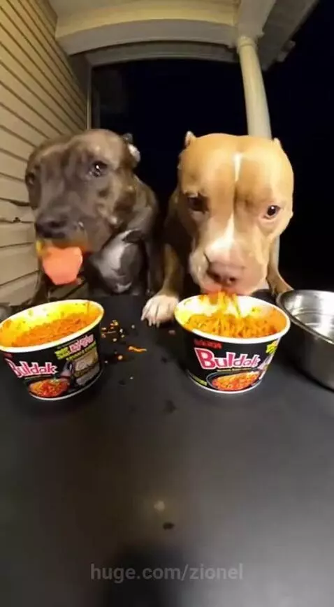 Ayooo chill by zionel