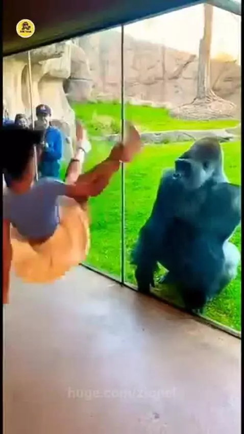 He laughs at her when she slips by zionel