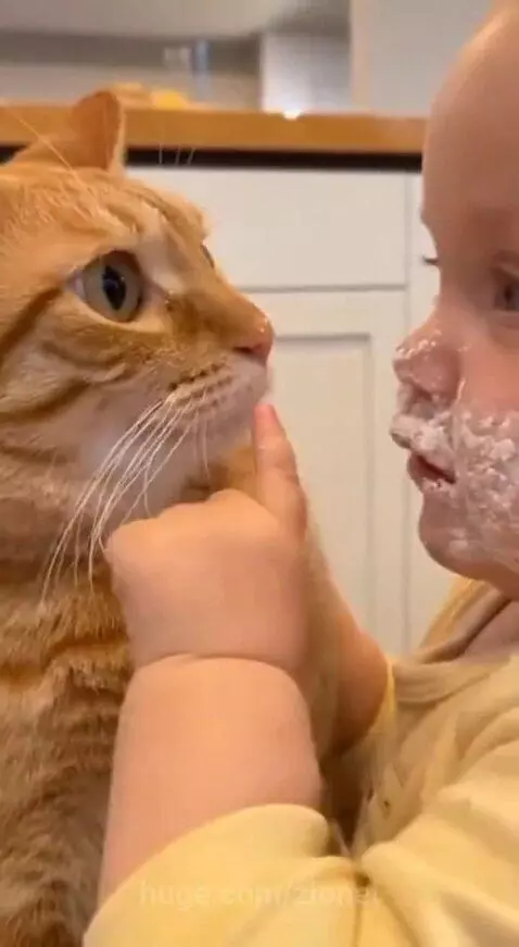 Baby with white substance on face gently touching an orange tabby cat's face.