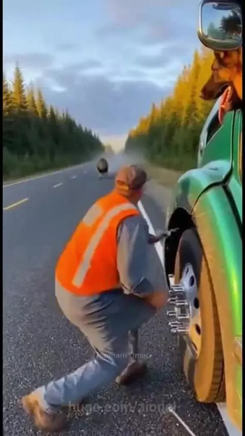 Man kneeling by truck, dog confronts charging lion.