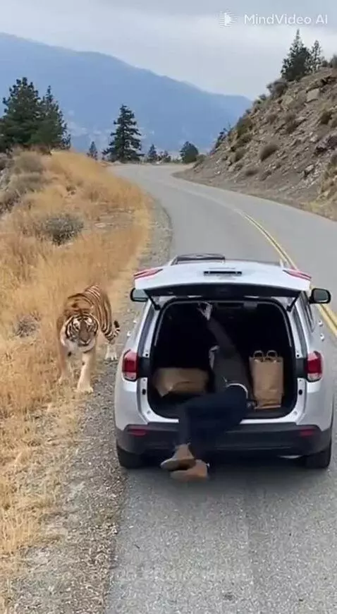 She closed the trunk just in time by zionel