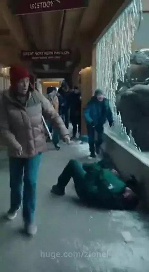 A large grizzly bear charging towards and breaking a thick glass enclosure, with a zookeeper on the ground.
