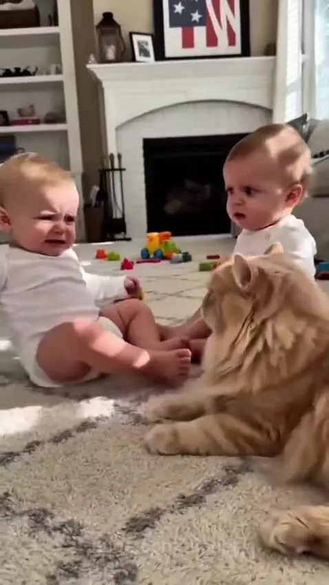Two babies and a cat sitting on a rug, one baby points at the cat.