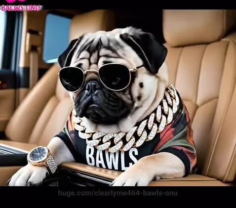 $BAWLS by clearlyme464-bawls-onu
