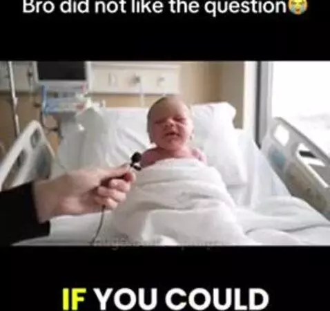 Little man already done his research 😂😂 by alphapaul