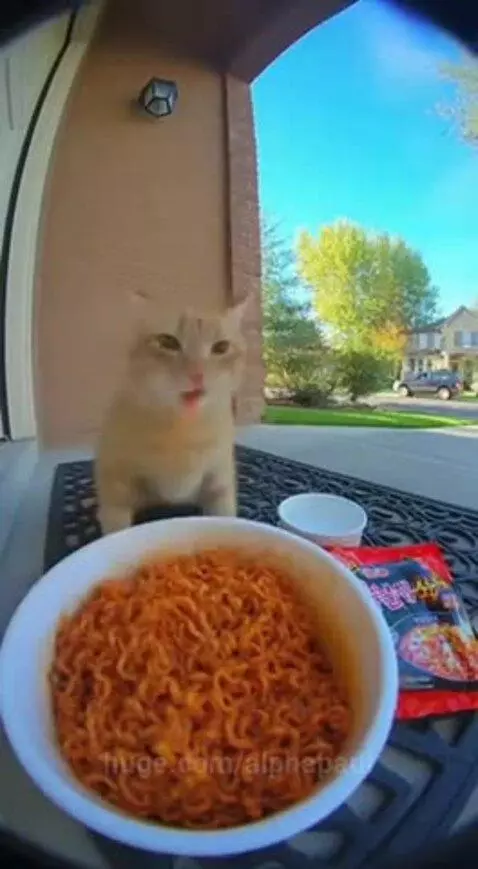 The noodles must be really spicy 😭😂 by alphapaul