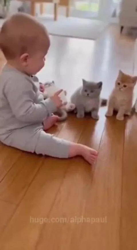 This is so funny😂 by alphapaul