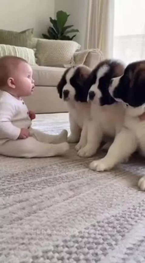 Woof woof by alphapaul