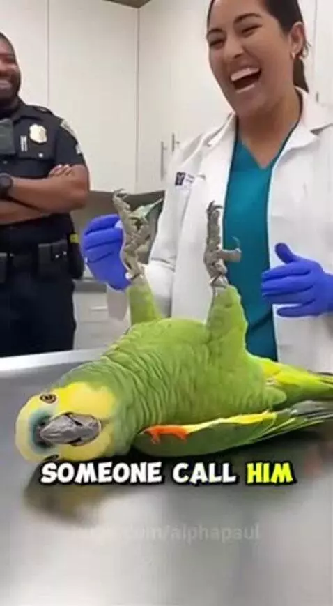 Get him a lawyer pls😭 by alphapaul