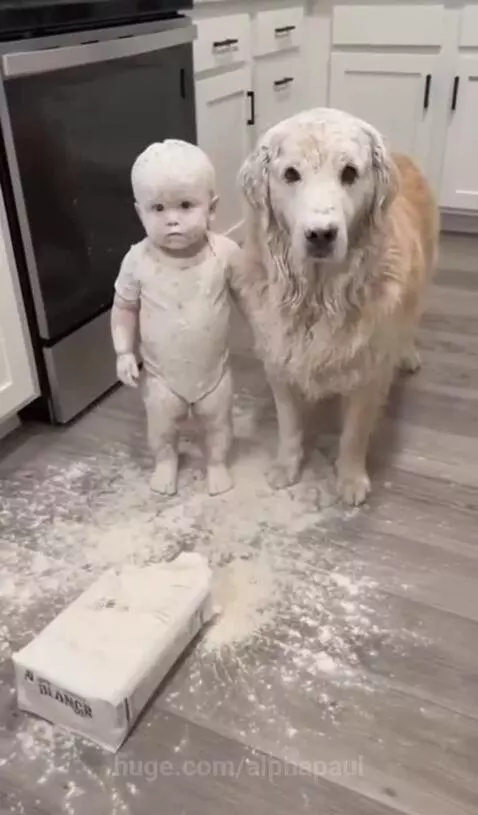 The look both of their faces😭😂 by alphapaul