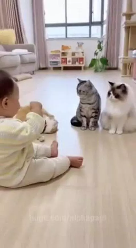 Lovely!!! by alphapaul