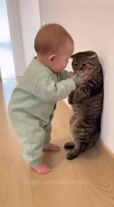 No mew mew😂😂 by alphapaul