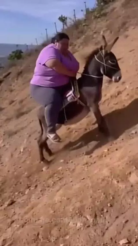 That's a lot…..I feel for your the donkey😭😭 by alphapaul