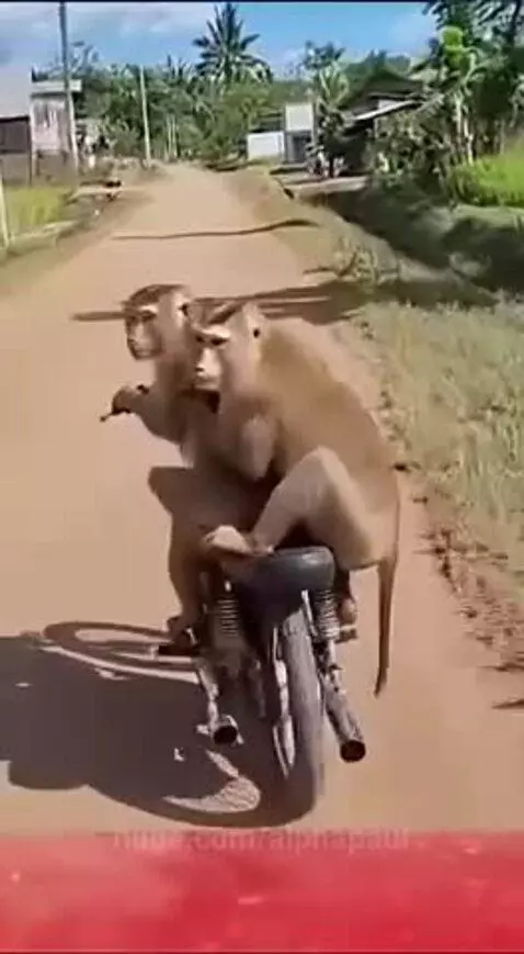 This got me😂 by alphapaul