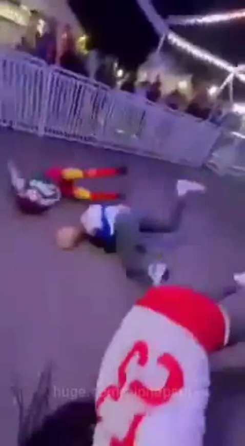 It was like they knew it was coming😂 by alphapaul