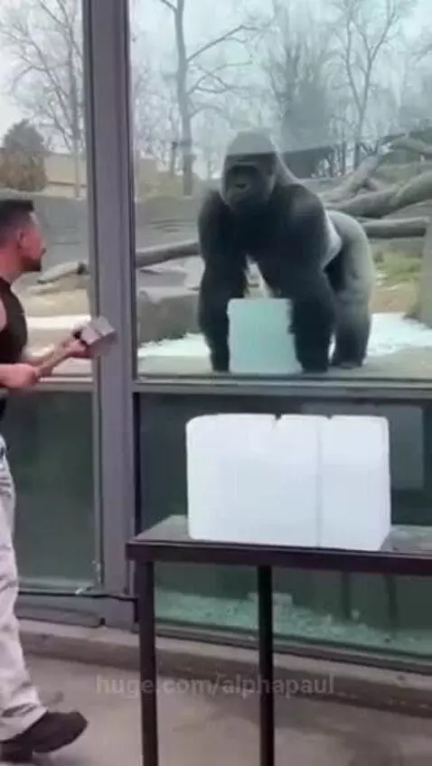 Damn he is definitely stronger by alphapaul