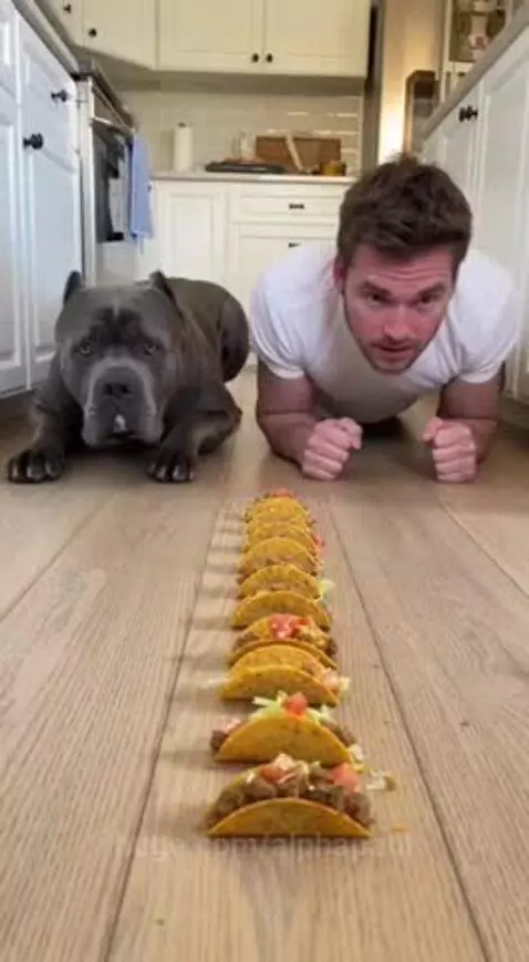 He stands no chance😂😭 by alphapaul