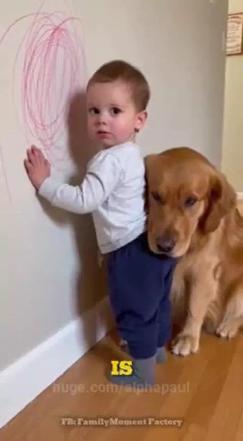 This is cute ☺️ by alphapaul