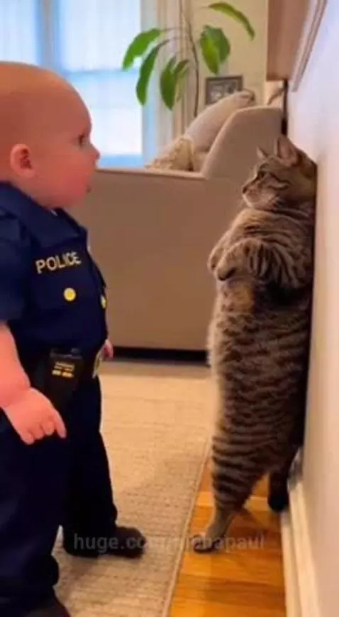 Baby in police uniform pointing finger at a tabby cat standing on hind legs, scolding it.
