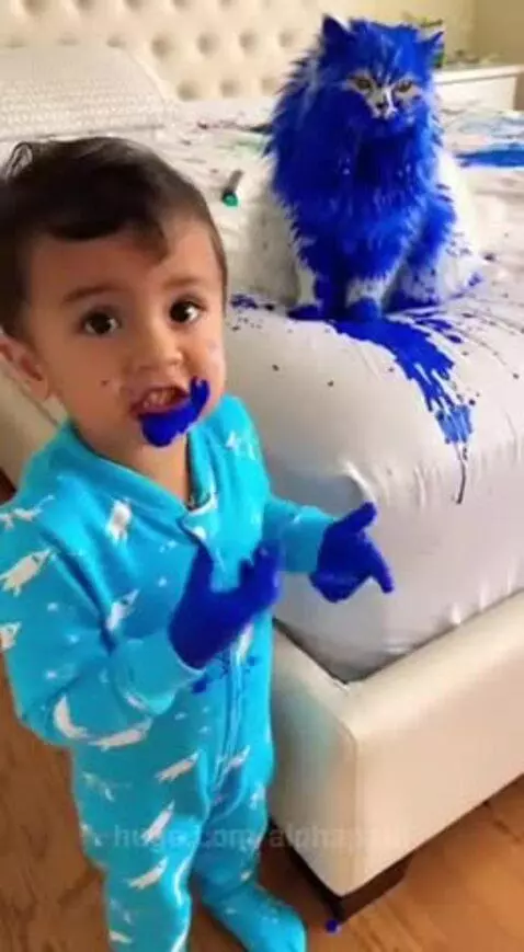 Child with blue paint on face and pajamas points to a blue-paint-covered cat sitting on a bed.