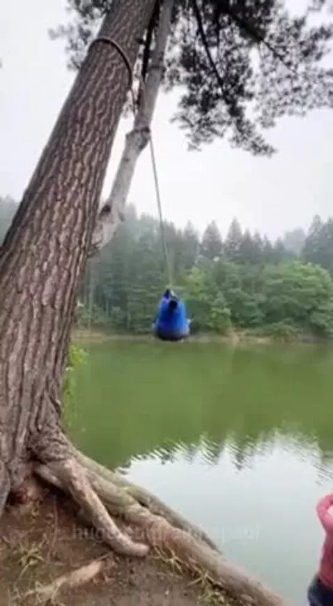 A person swinging on a rope over water as a large tree uproots and falls into the lake behind them.