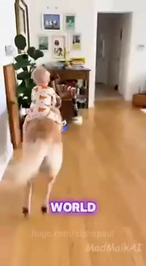 A baby wearing carrot pajamas rides on the back of a golden retriever dog down a hallway.