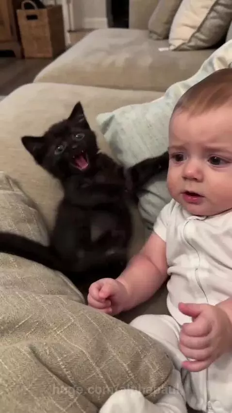 Baby in white outfit with a pink phone, a black kitten playfully screaming next to them.