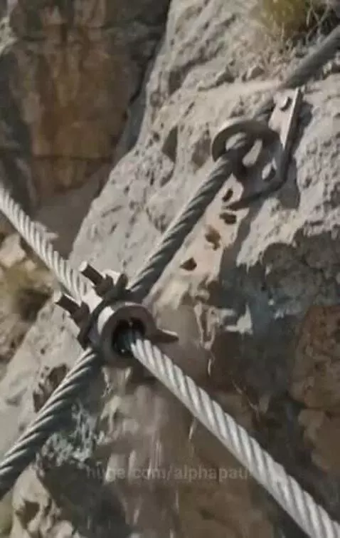 A golden retriever looks on as a helicopter rescues a woman from a car dangling over a canyon on a broken bridge.
