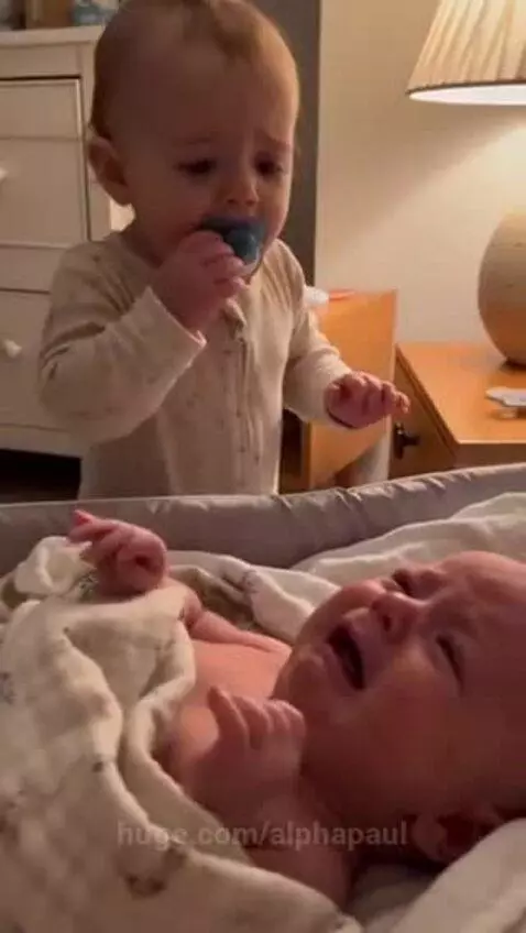 Older baby offers pacifier and kisses crying newborn sibling, showing gentle affection.