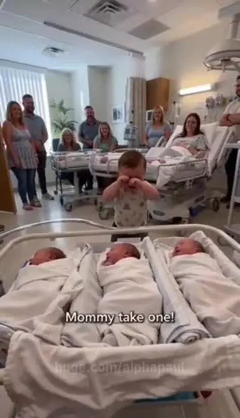A crying toddler points at three newborn babies in a bassinet while his parents smile in the background.