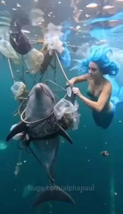 Mermaid with blue hair and tail cutting fishing nets off a dolphin underwater.