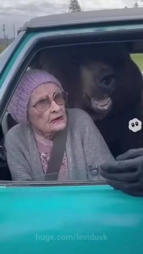 This grandma is wild by levidusk