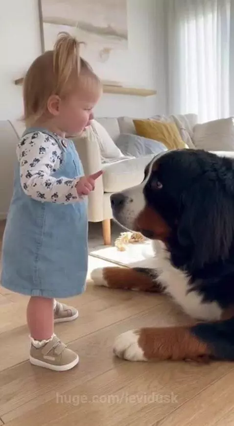 He did it. I can confirm😂 by levidusk