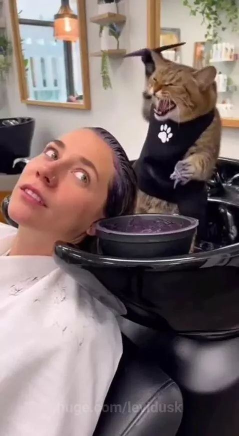 'I don't take opinions' by levidusk