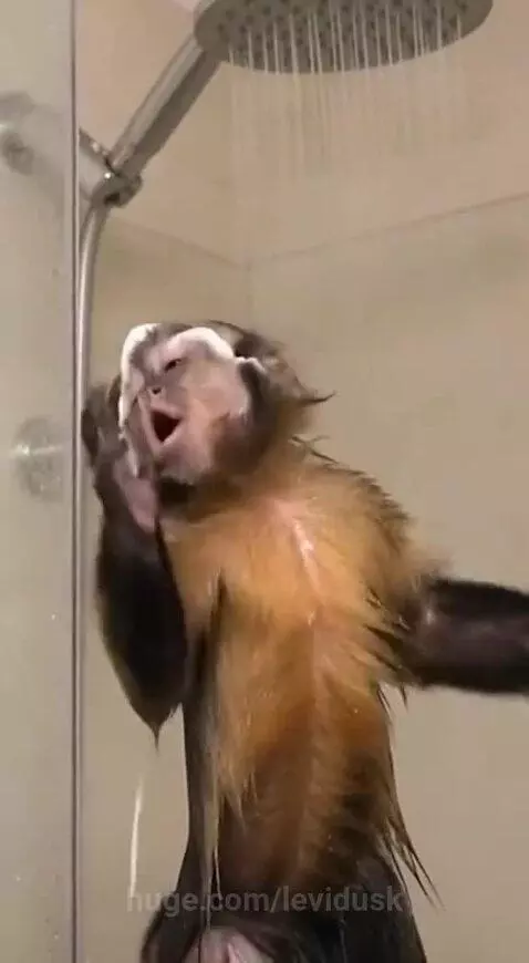 Some nice performance by levidusk