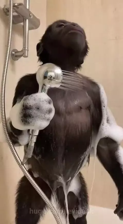 EP on the way by levidusk