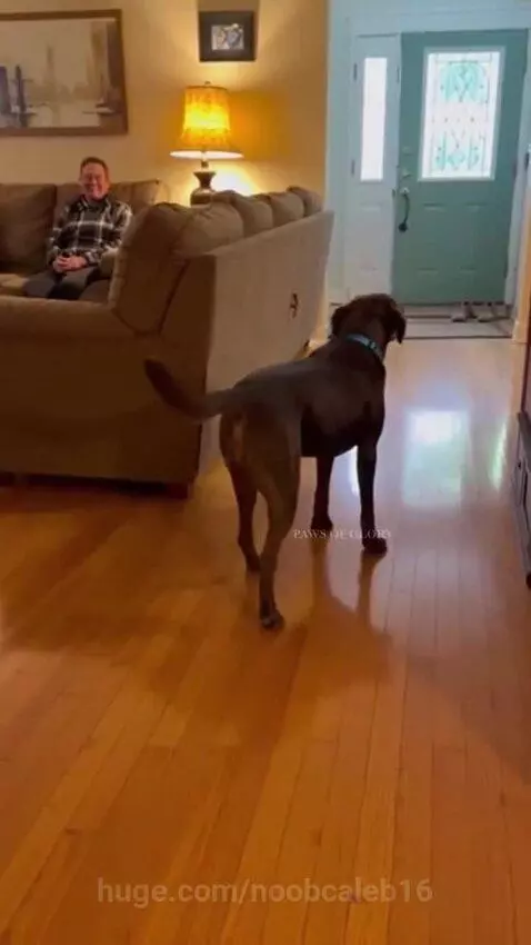 The Dog is so happy🥹🥹 by noobcaleb16