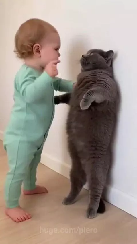 They are so adorable by piero