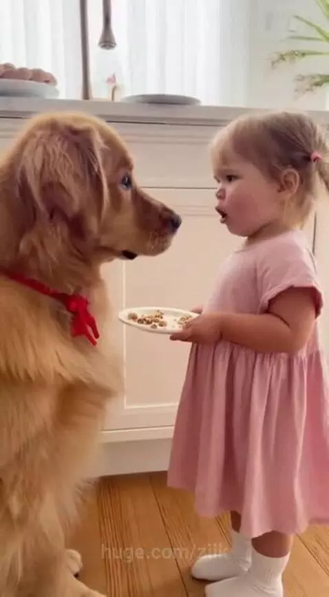 Mr Fluffy ate her cookies by ziik