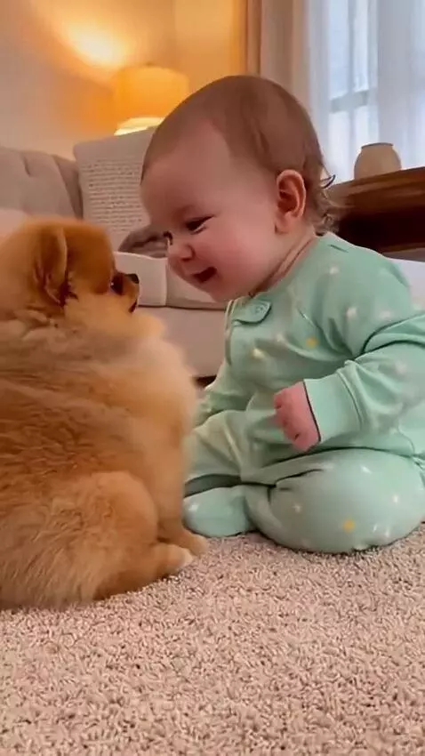 Let's Love lead ❤️ by ziik